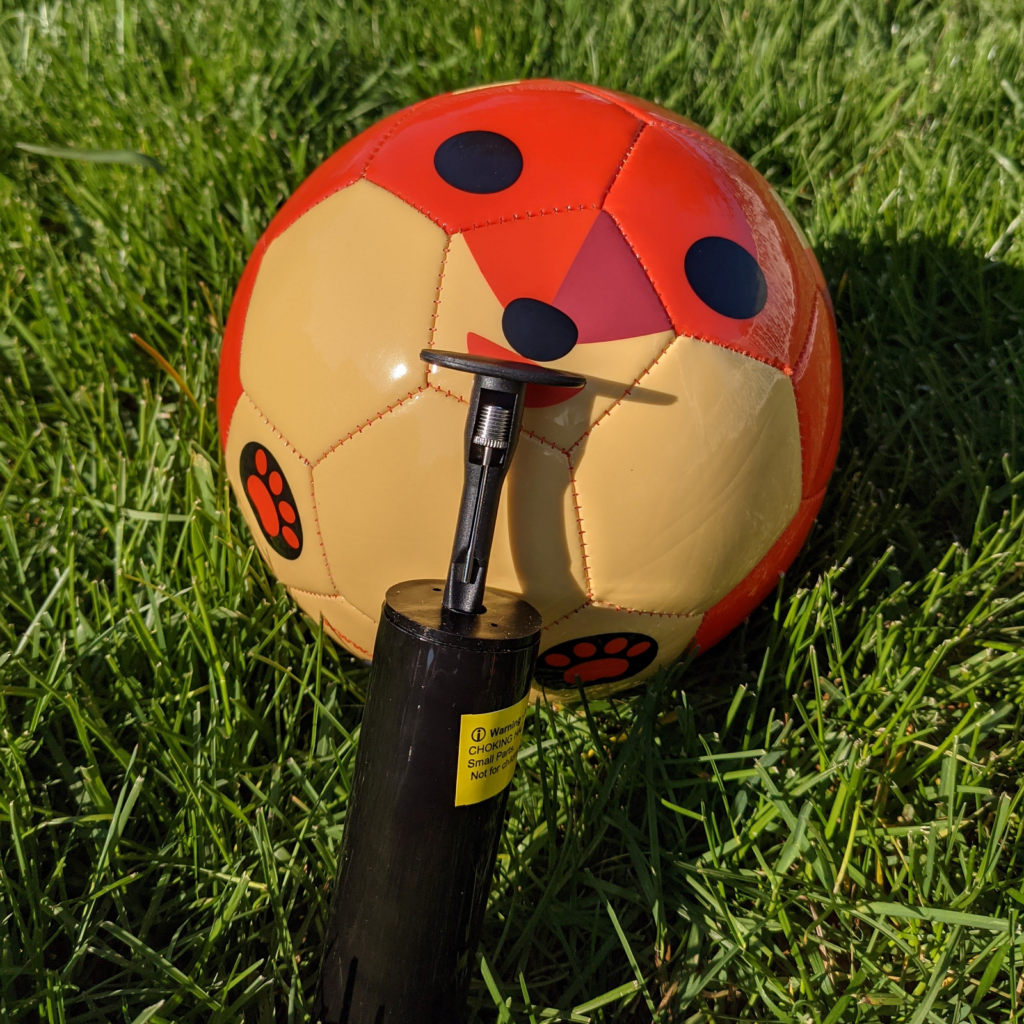 Daball The Fox Size 3 Soccer Ball and pump