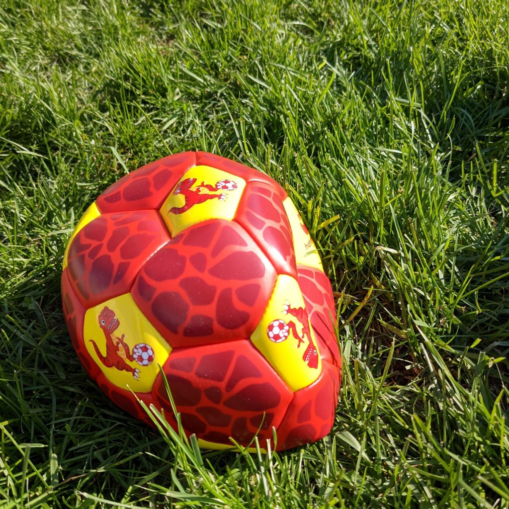 Dinosaur Size 3 Soccer Ball deflated 